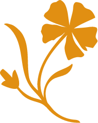 A stylized gold flower, reflecting the brand's focus on natural, plant-based ingredients.